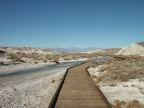 Salt Creek