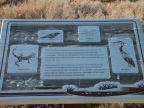 Click to Read Sign